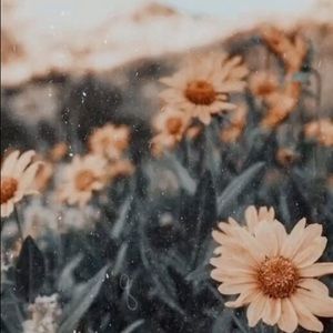 Meet your Posher, Leilani